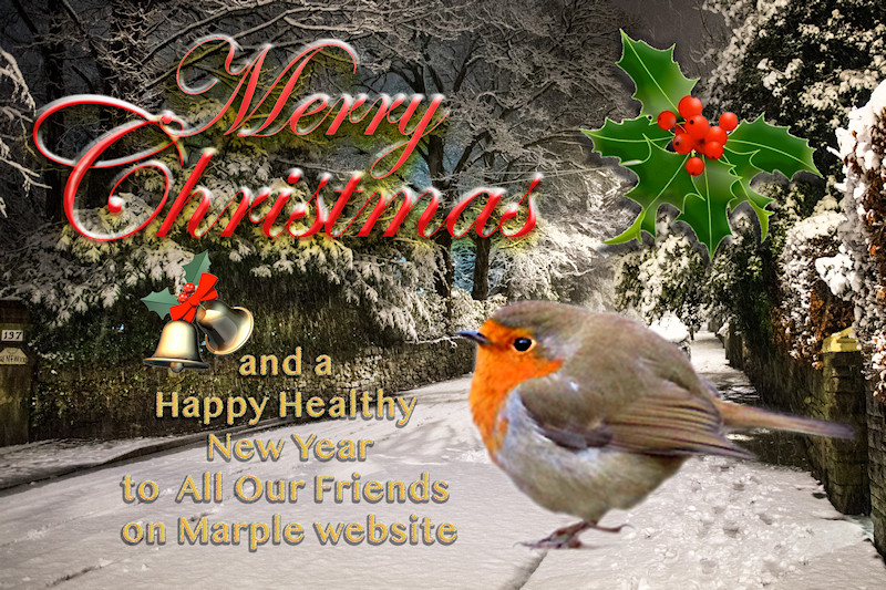 Merry Christmas 2021 from The Marple Website