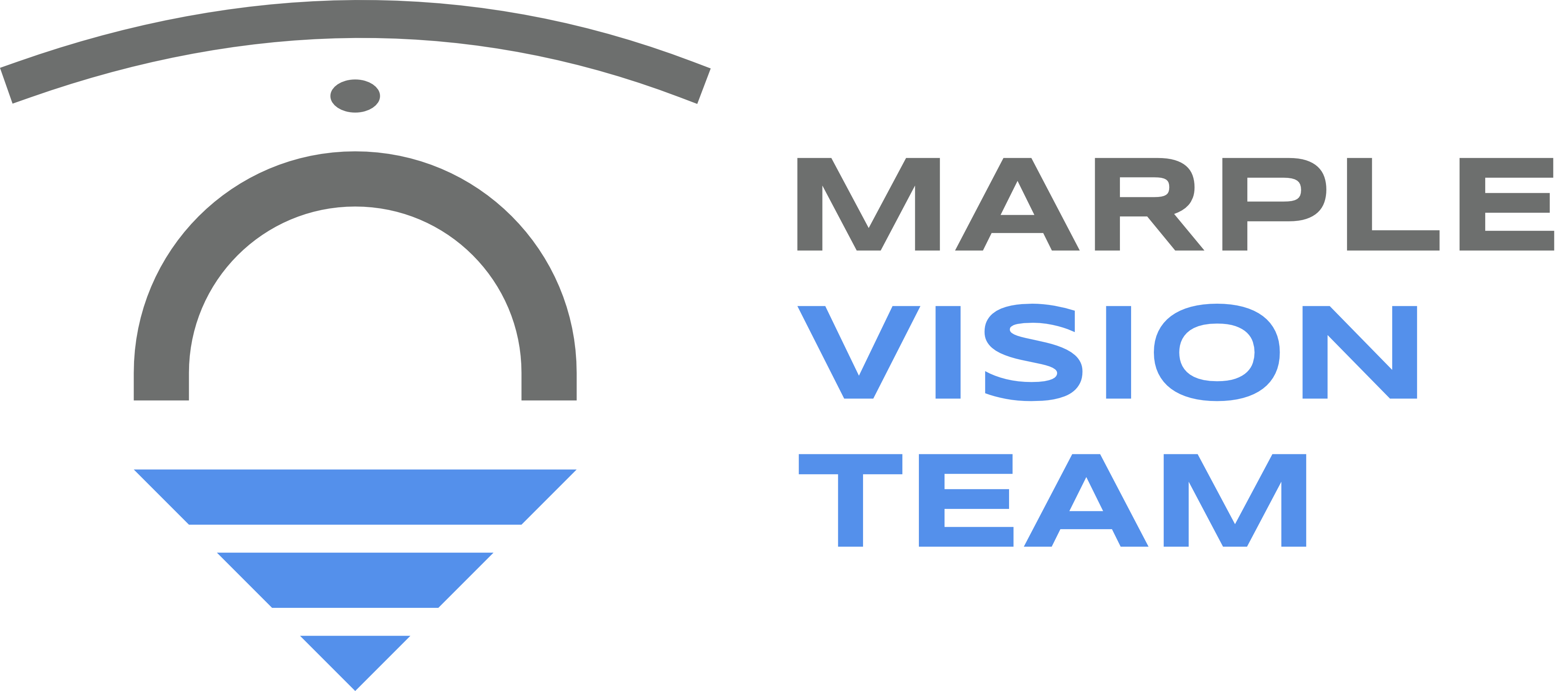 Marple Vision Team Logo