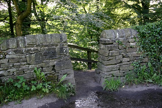 Footpath into Brabyns Park
