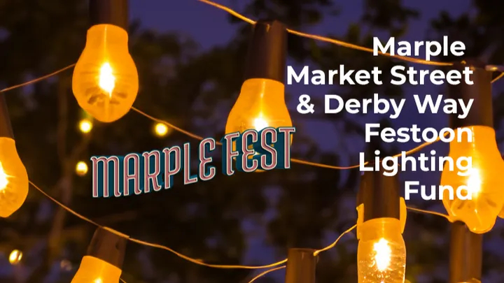 MarpleFest Festoon Lights