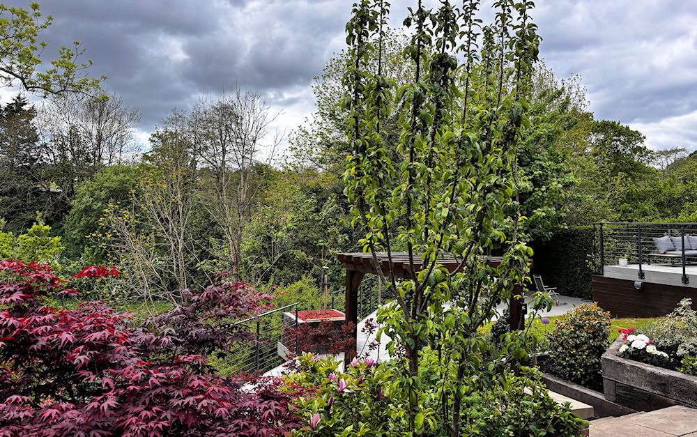 Garden 04