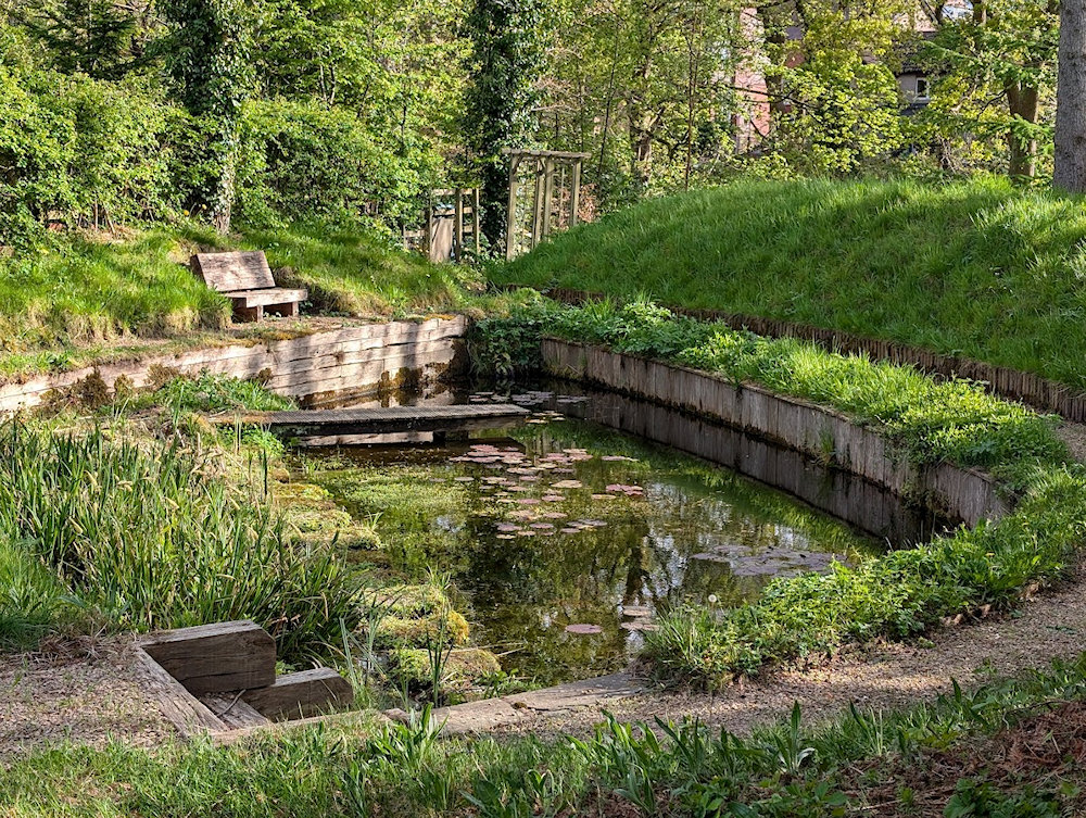 Garden No. 6