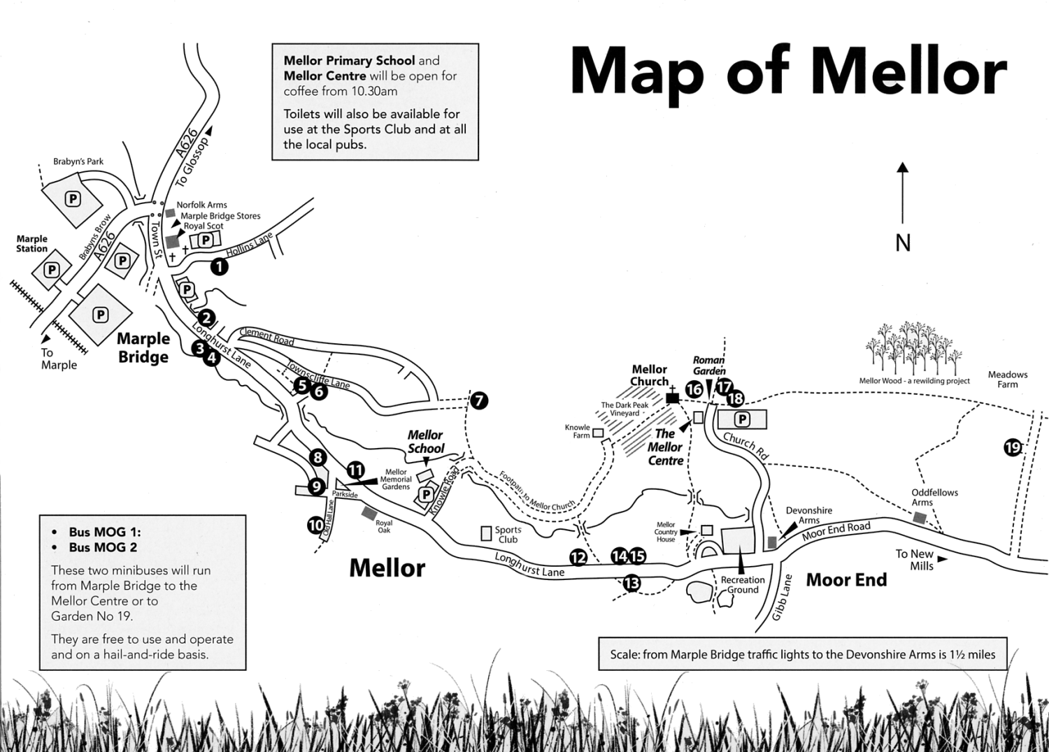 mog2025 map