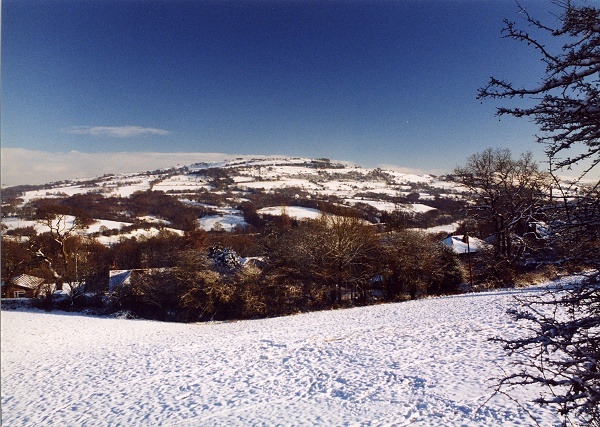 January - Mellor Hills - P.Clarke