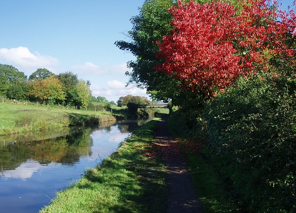 September - Autumn Colours - S. Clarke