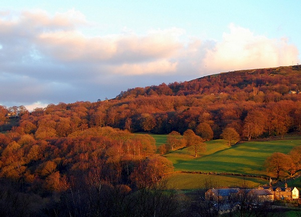 Ernocroft Wood - S. Roberts