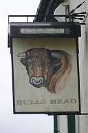 bull2